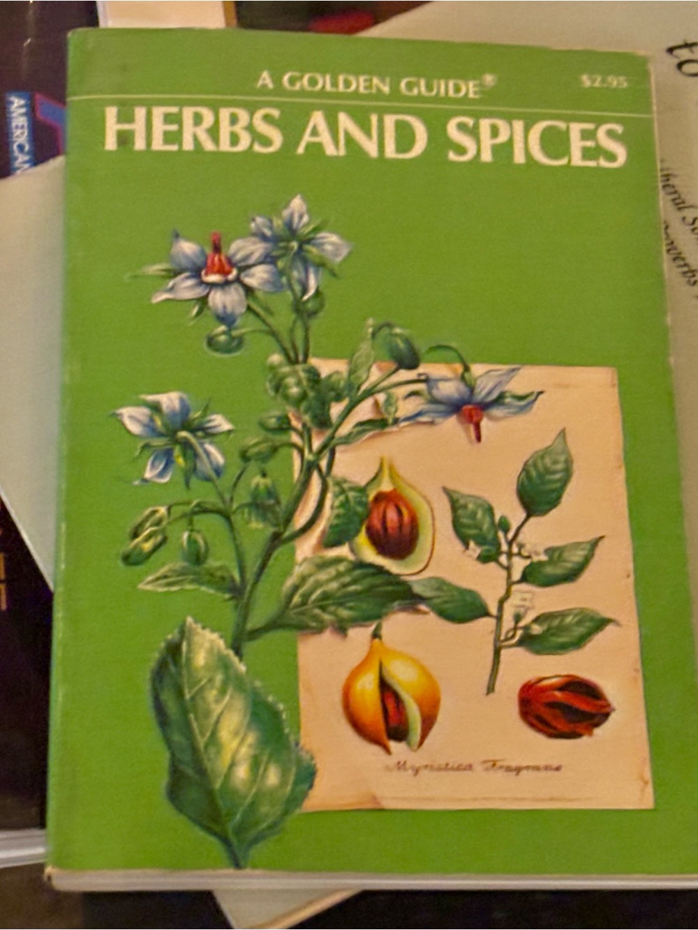 Golden Guide Natural Remedies Herbs & Spices Herbal Medicine Botanical 1976